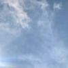 elynn_281
