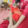 khế thúi