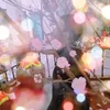 hao_nb