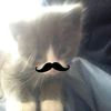 nnuvy_