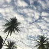 Berruangg