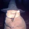 catwitch3108