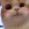 mntt_jm
