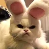 cimmpuss