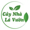 Cây Nhà Lá Vườn 1993