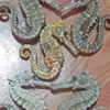 giangghvotruong
