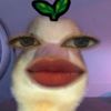 igarylzx_