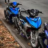 Dấn Y15zr