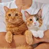 つなまよ🐈