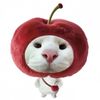 _appleuijce