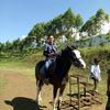 faizinaziz27