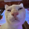 maiingan