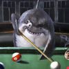 mr.pool_shark