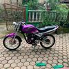sekibo225