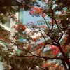anhthu164