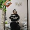 vianisya22