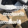 orca0.3
