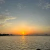 banhmine8386