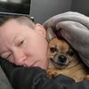 7dogmom7
