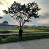 foreveree28