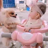 carot.pom.dog