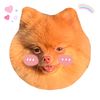 thepomchopper