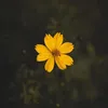 xieeixxieeix