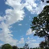 _parnrada_