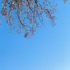 username_uta_