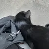 imnotinterest
