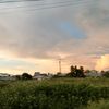 miaujun0