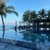 trih_trinh202