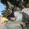 thanhbui4454