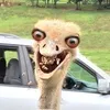 ostrichsama
