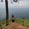 qqqlsdtnm