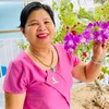 hoanguyen_nguyenhoa