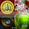 norhanan_alnor