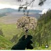 cheryl_480