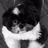 annie261314