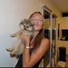 brnd_romane