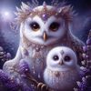 purplemagic62