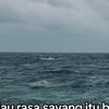 tiraaaaaa245