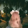 サツマイモ