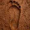 barefootbandittn