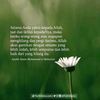 amelianella7