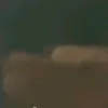 vdkdhkak