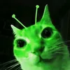 sanvilovescats