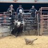 jakewhaley1