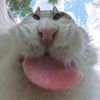 bunxcs0