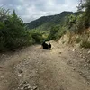 yeyoperalta